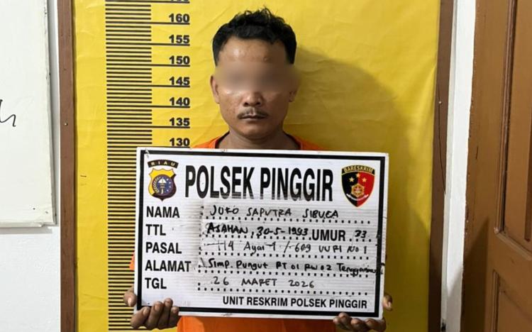 Berantas Narkoba, Polsek Pinggir Ringkus Pelaku di Kebun Sawit